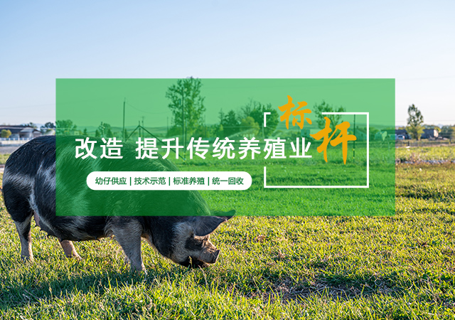 美狮贵宾会·(中国)官方网站