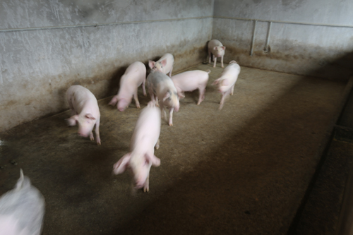 美狮贵宾会·(中国)官方网站