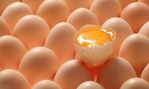 生鸡蛋在治疗猪病时的妙用！