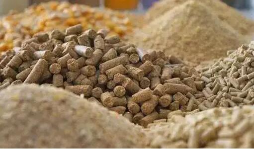 新年伊始，饲料质料价钱涨起来！